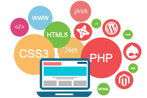Web development course